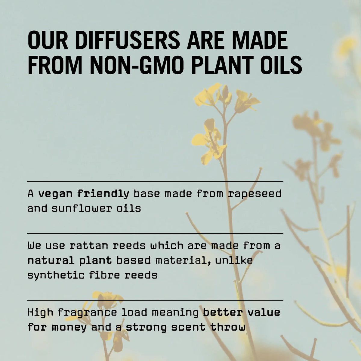 Sugi 100ml Reed Diffuser