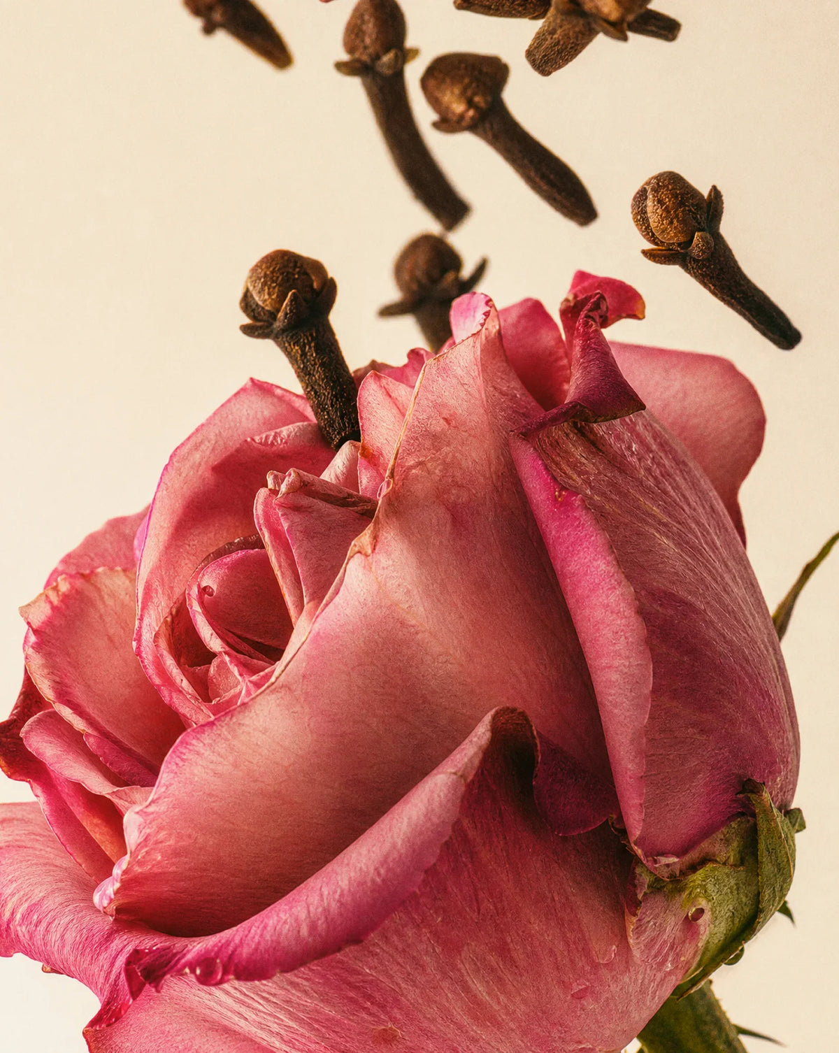 Medina Rose 100ml Reed Diffuser