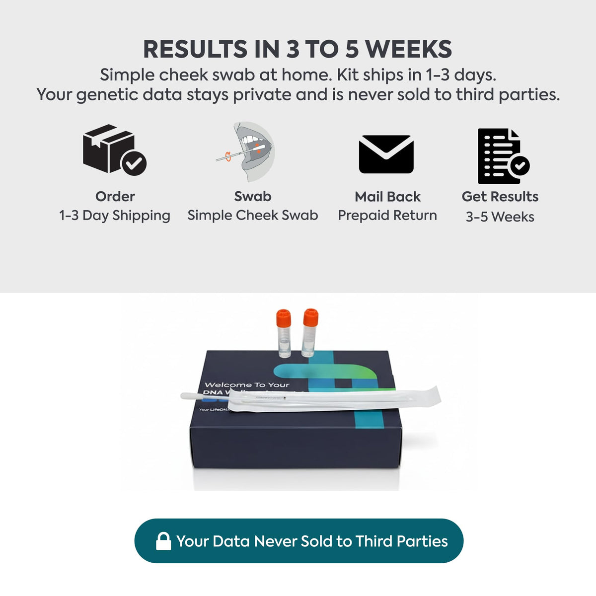 LifeDNA 13 Methylation Genes Test – Complete Wellness Analysis & 135+ Insights