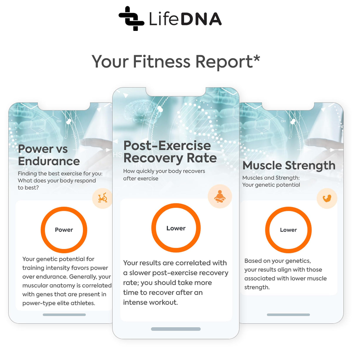 LifeDNA 13 Methylation Genes Test – Complete Wellness Analysis & 135+ Insights